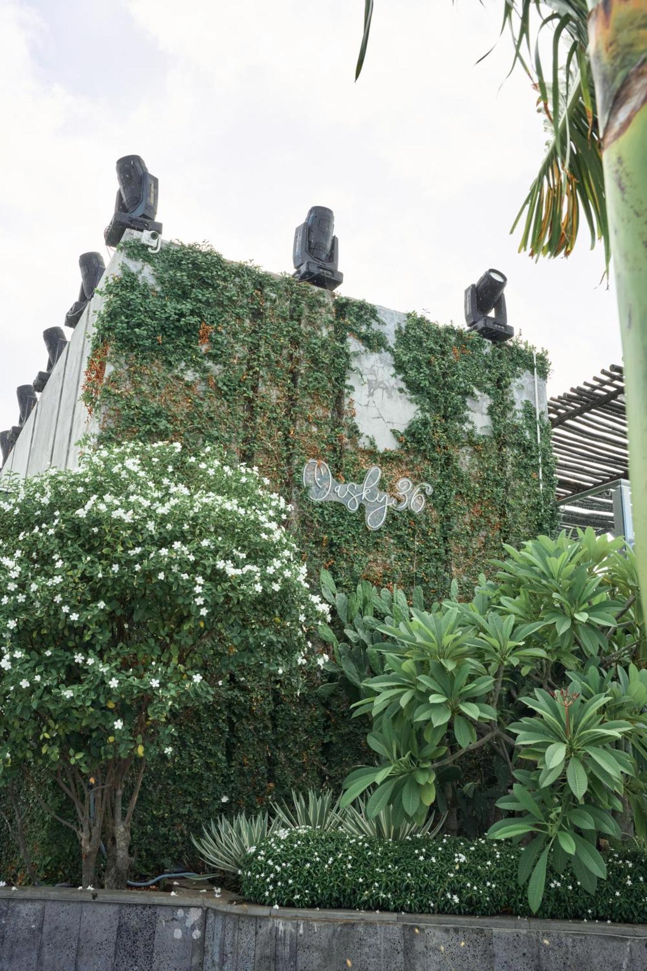 Pooh House 2 - Oasky 3 Bedrooms Apartment Vung Tau Exteriör bild